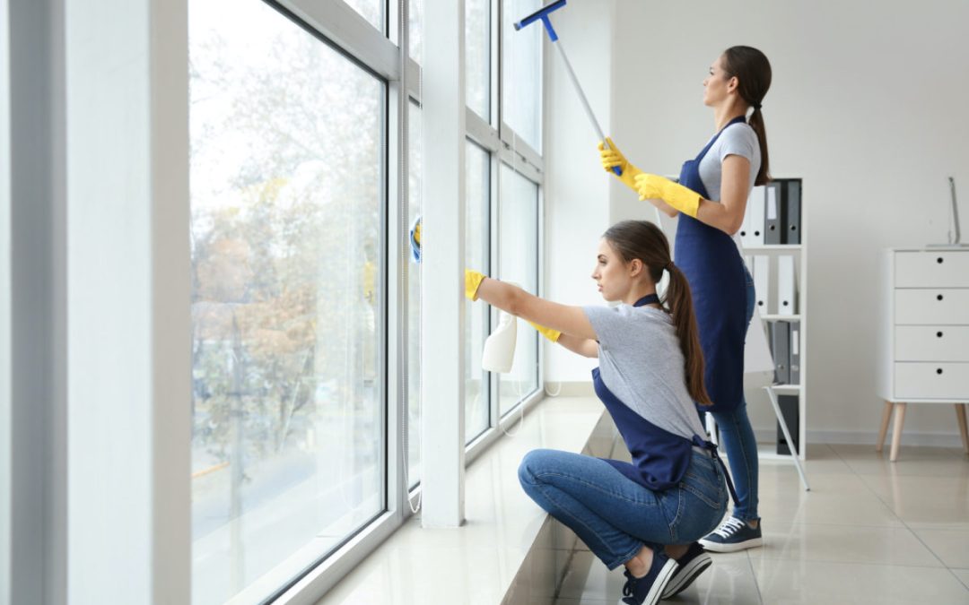 Complete Guide to Professional Window Cleaning Services in Alberta